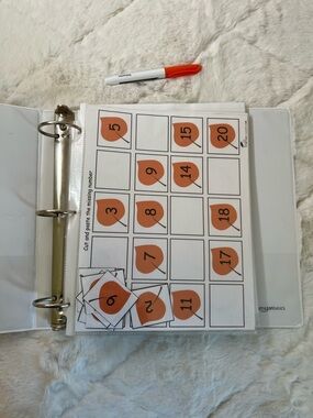 Fall Thanksgiving Winter Busy Binder Preschool ABC 123 Shapes Set